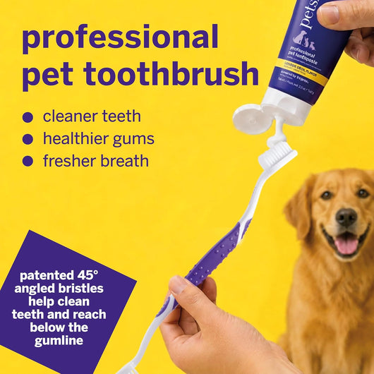Dual-Ended 45° Dog Toothbrush