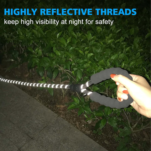 Reflective Neoprene Dog Collar Set