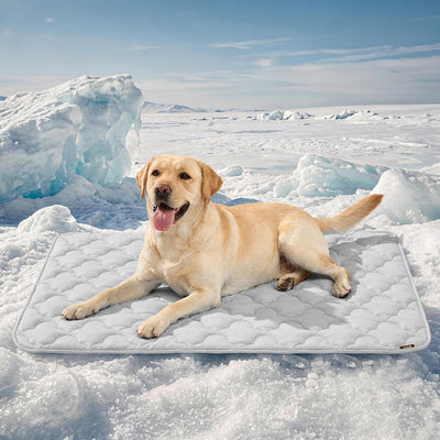 ZOMISIA Cooling Dog Mat For XL Dogs