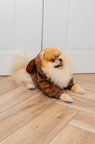 GG Jacket Warped Ears