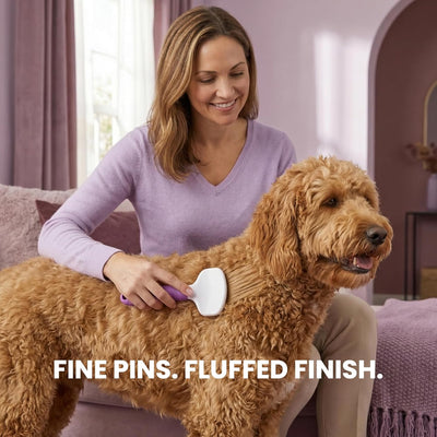 Professional Slicker Brush For Pet Grooming