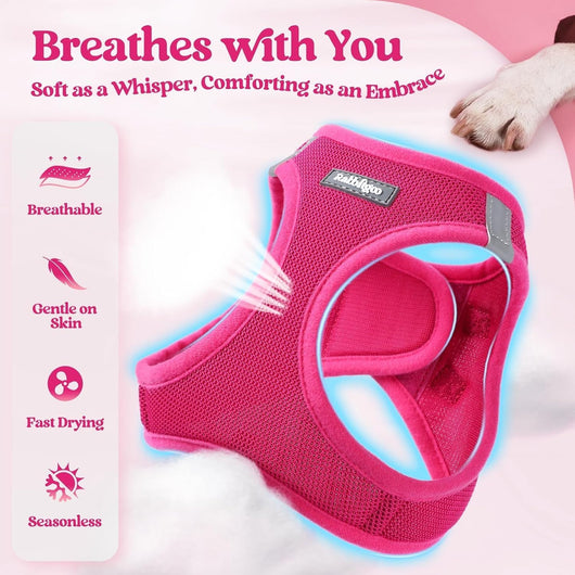 Step In Puppy Harness With Leash Walking Set
