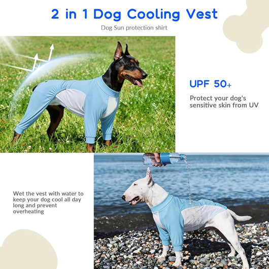 Big Dog Cooling Suit I UV Protection Blue color