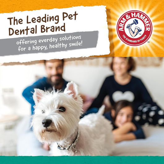 Peanut Butter Dog Dental Chew Toy