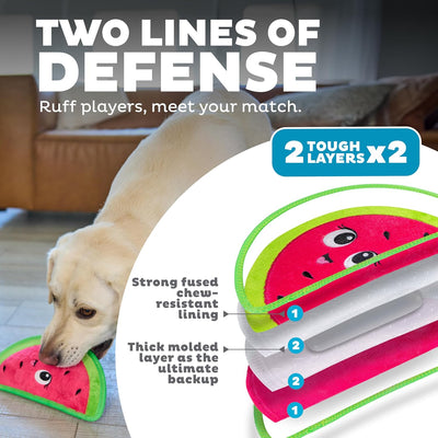 Squeaky Watermelon Toy for Tough Chewers