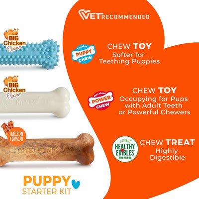 Puppy Teething Chew Toys Starter Kit Set