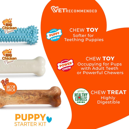Puppy Teething Chew Toys Starter Kit Set