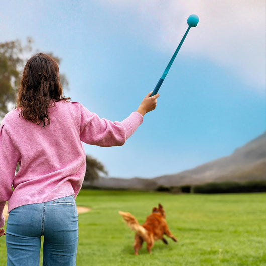 Dog Ball Launcher for Fetch