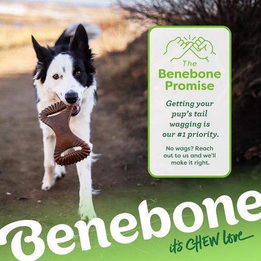 Benebone Bacon Dental Chew for Aggressive Dogs
