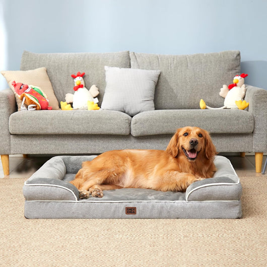 Orthopedic Dog Bed I XL Memory Foam