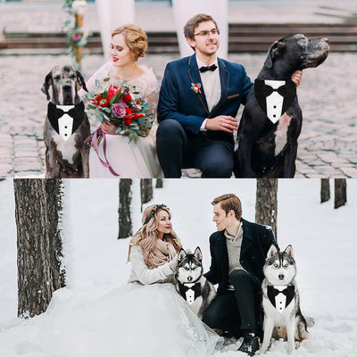 Dog Tuxedo Suit with Bow Tie – Adjustable Formal Dog Bandana Collar for Weddings, Parties & Special Occasions