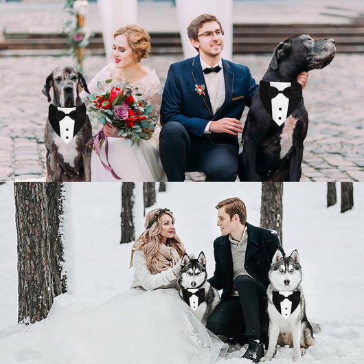 Dog Tuxedo Suit with Bow Tie – Adjustable Formal Dog Bandana Collar for Weddings, Parties & Special Occasions