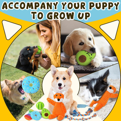 Puppy Teething Toy Set For Fun Healthy Chewing