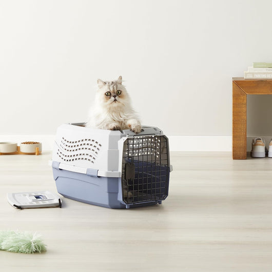 Portable Hard-Sided Dog Travel Carrier