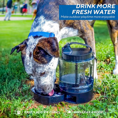77oz Portable Dog Water Bottle Travel Bowl