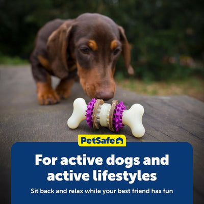 Dog Toothbrush Chew Toy for Aggressive Chewers