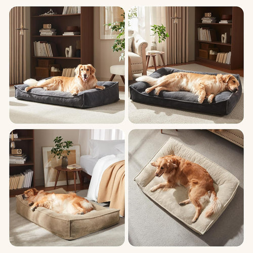 Orthopedic Dog Bed I XL Supportive Couch