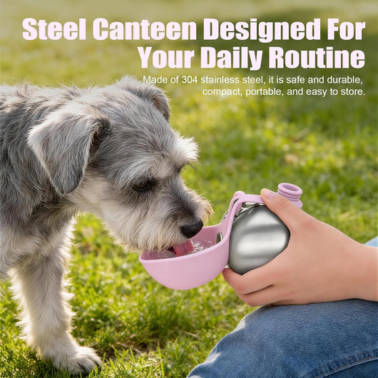 Stainless Steel Dog Water Bottle – 10 oz