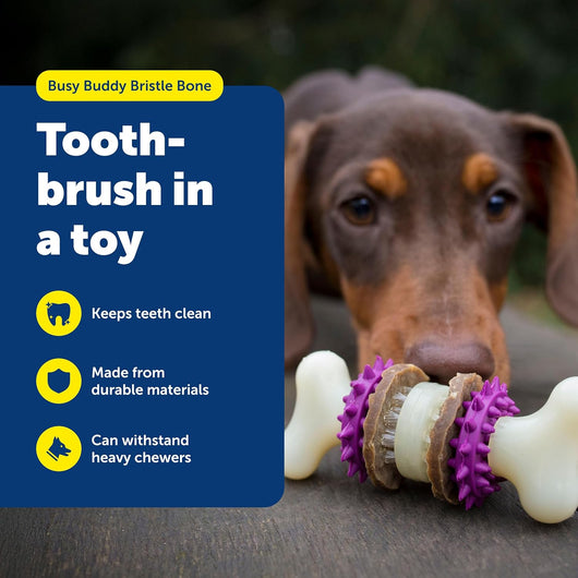 Dog Toothbrush Chew Toy for Aggressive Chewers
