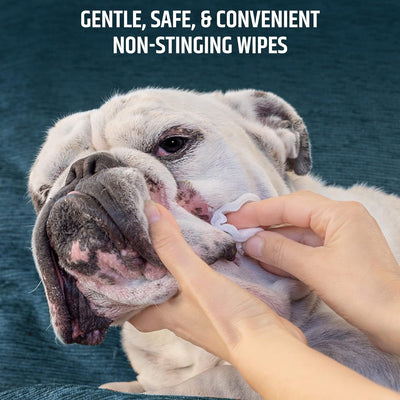Aloe Pet Topical Wipes Skin Coat Cleanser