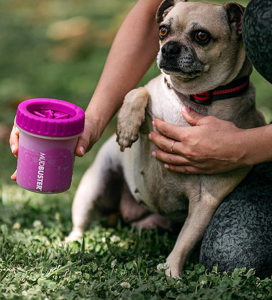 Portable Dog Paw Cleaner Cup