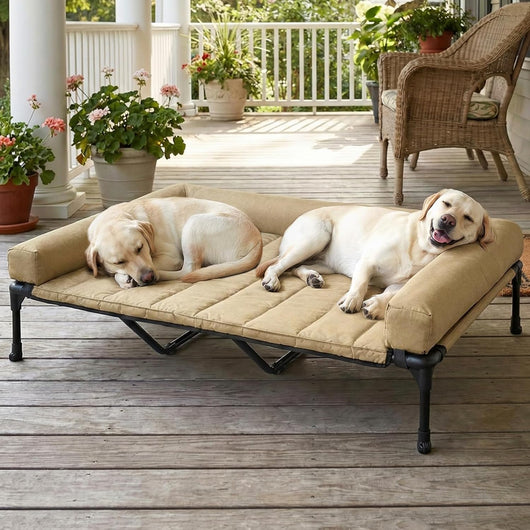 Veehoo Cooling Dog Mat With Bolster Cushion
