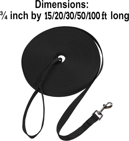 Leash Recall Training Freedom For Active Dogs