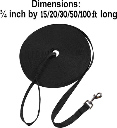 Leash Recall Training Freedom For Active Dogs