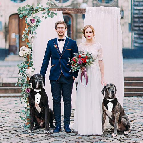 Dog Tuxedo Suit with Bow Tie – Adjustable Formal Dog Bandana Collar for Weddings, Parties & Special Occasions