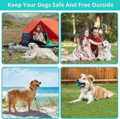 Leash Heavy-Duty Outdoor Freedom For Active Dogs