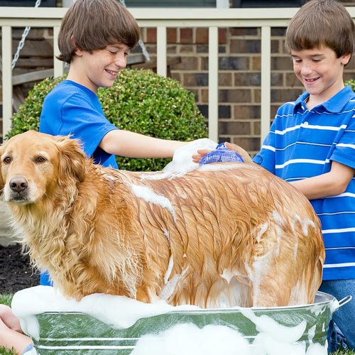 2-Pack Pet Grooming Massage Bath Brushes