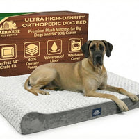 Orthopedic Dog Bed I XXL Memory Foam