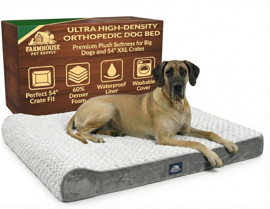 Orthopedic Dog Bed I XXL Memory Foam