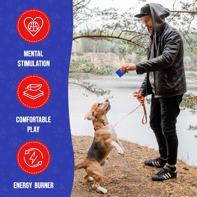 Nose Work Scent Training Kit For Calmer Dogs