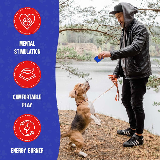Nose Work Scent Training Kit For Calmer Dogs