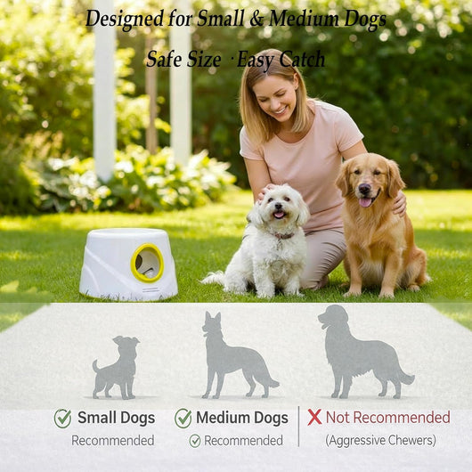 Automatic Dog Ball Launcher | USB Rechargeable Fetch Toy