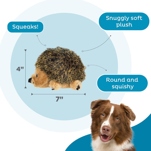 Squeaky Hedgehog Plush Toy for Cuddles