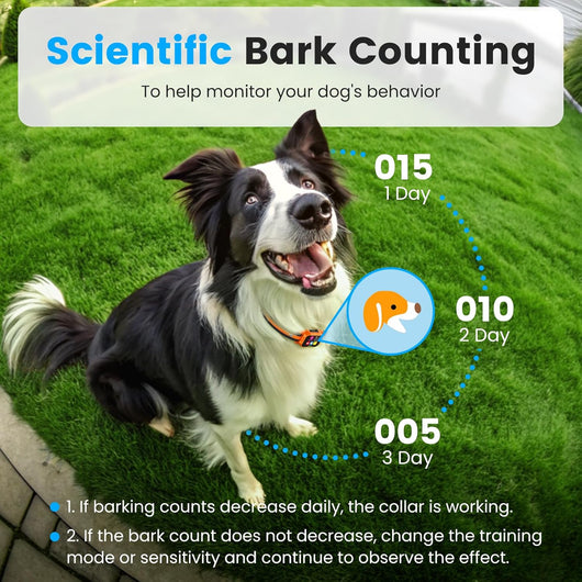 Smart Dog Bark Collar for Small, Medium I Large Dogs