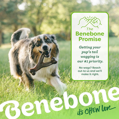 Benebone Wishbone I Durable Bacon Chew Toy
