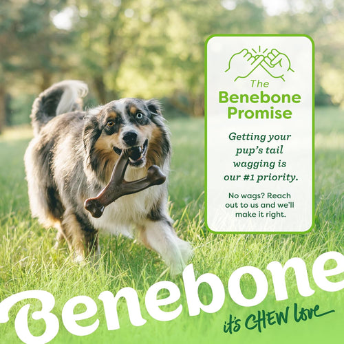 Benebone Wishbone I Durable Bacon Chew Toy