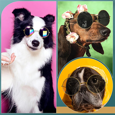 Dog Sunglasses Retro Round Metal Style