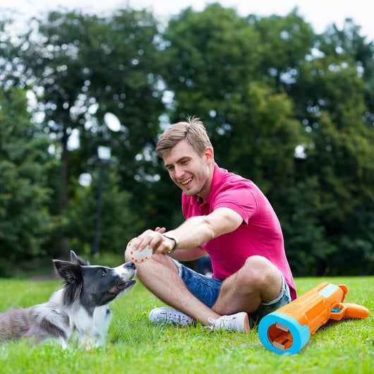 Dog Ball Launcher With 3 ETPU Balls