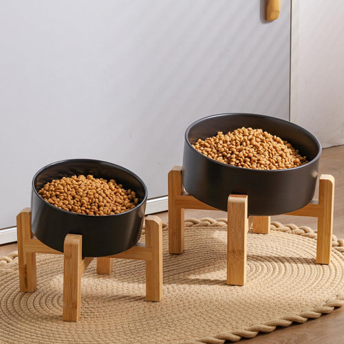 Black Dog Bowl I Elevated Stand