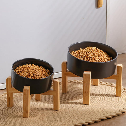 Black Dog Bowl I Elevated Stand