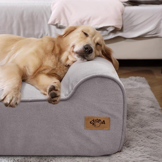 XXL Memory Foam Dog Bed I Orthopedic Large Breeds