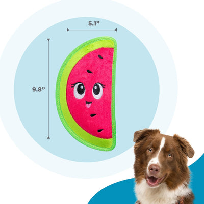 Squeaky Watermelon Toy for Tough Chewers