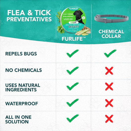 Natural Flea & Tick Collar for Dogs I Waterproof