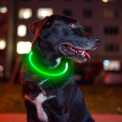 LED Light Up Dog Collar
