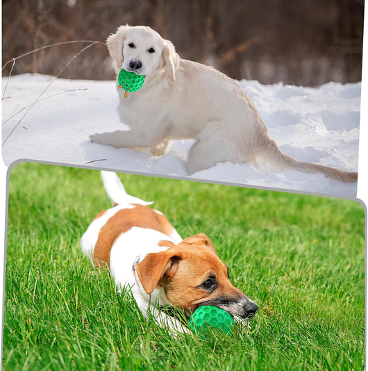 Indestructible Squeaky Dog Ball