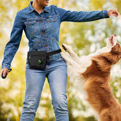 Treat Bag Spill-Proof Training Rewards For Dogs
